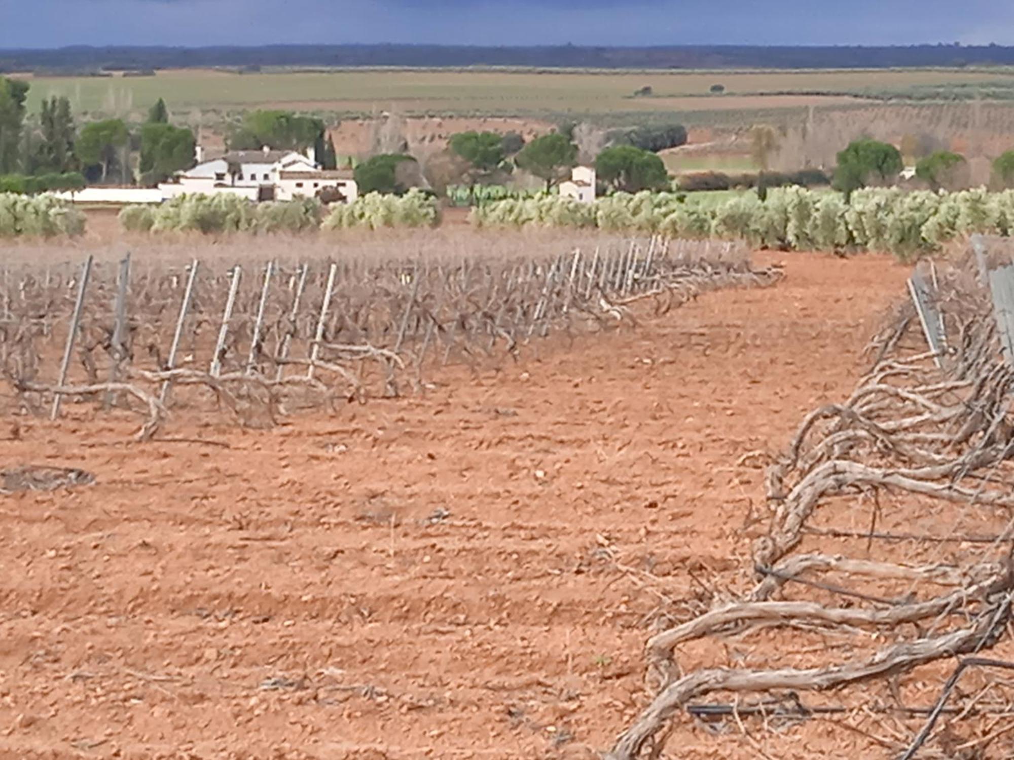 Casa Rural Senorio De Quevedo Villanueva de los Infantes Kültér fotó