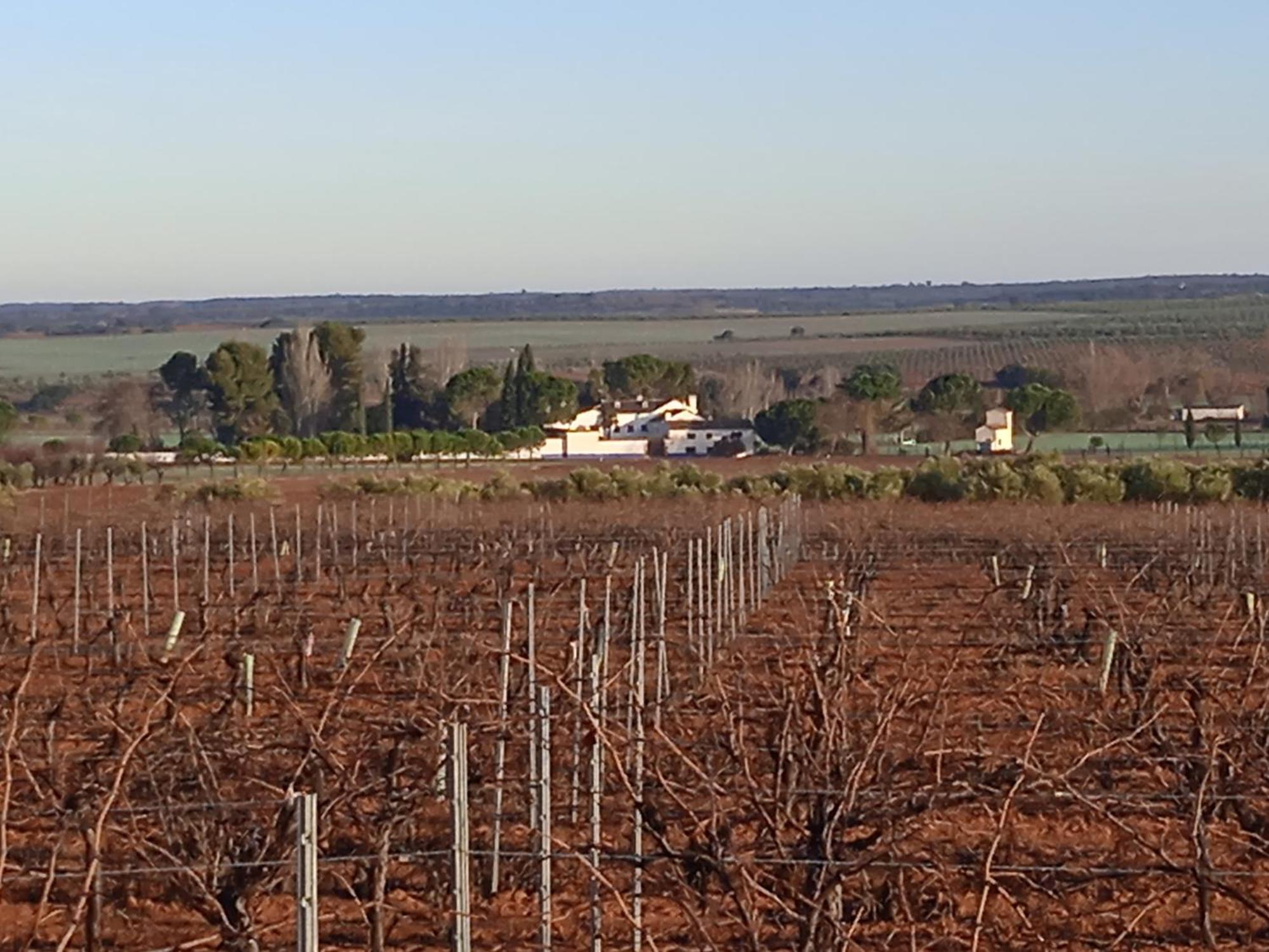 Casa Rural Senorio De Quevedo Villanueva de los Infantes Kültér fotó
